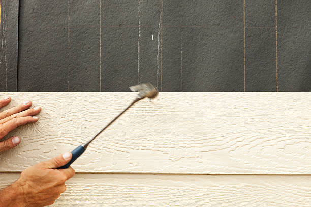 Best Historical Building Siding Restoration  in Renova, MS